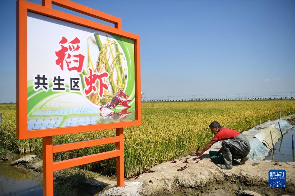 登录万美娱乐
